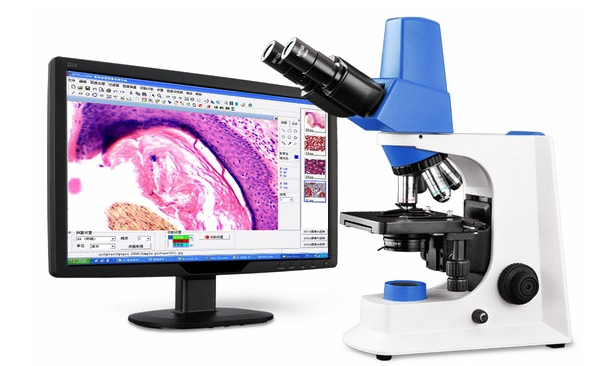 1541751669741333.png 成像圖.png